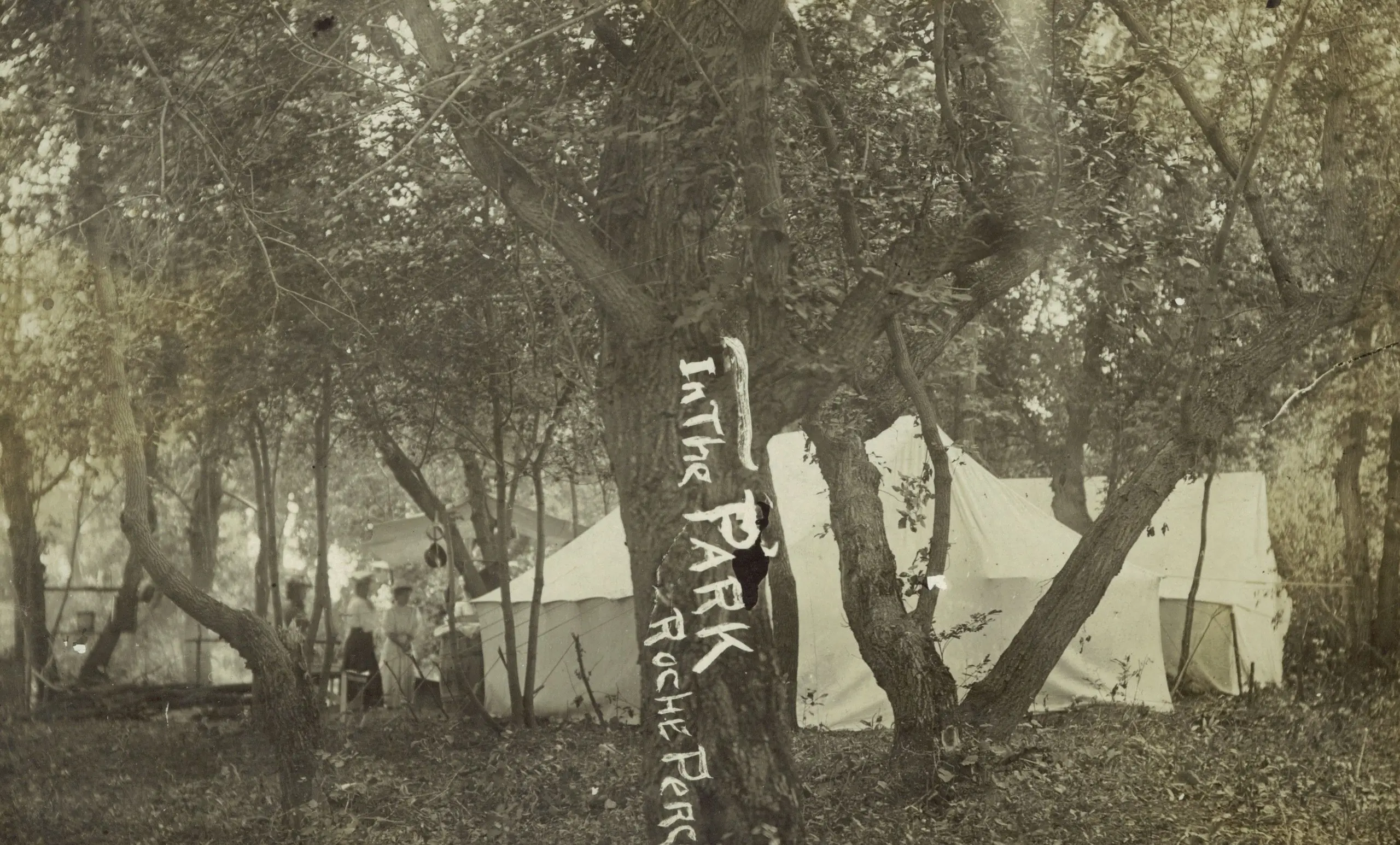 Tents in the park